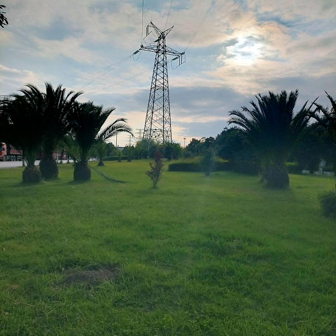 王阿宝牛骨火锅聊城店