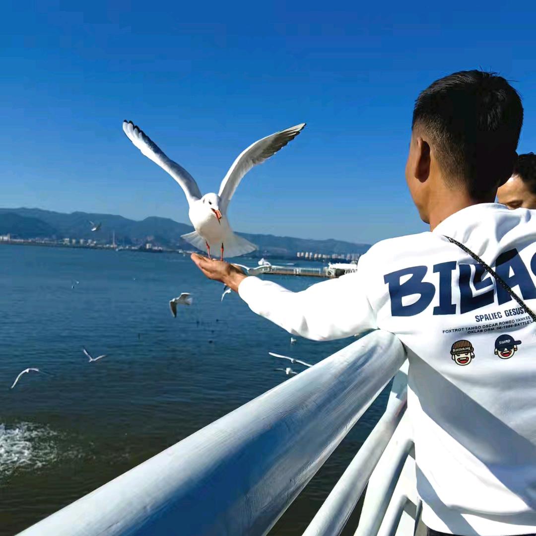 心碎誰来抚