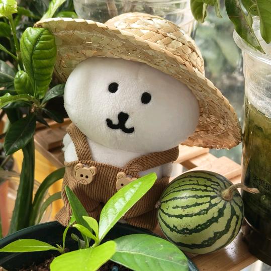 淳朴的农村熊66