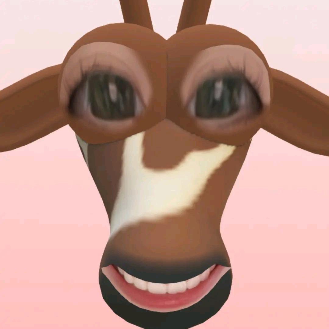 bbbuibuibui~
