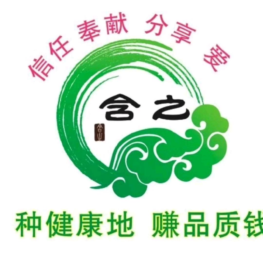 流逝于指缝的温柔
