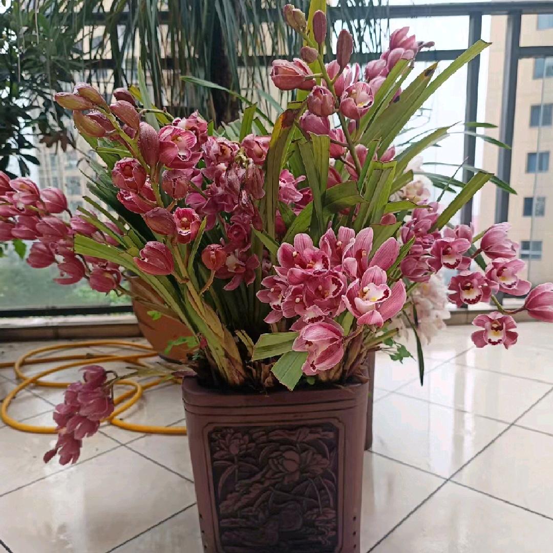 天上飞的是什么？