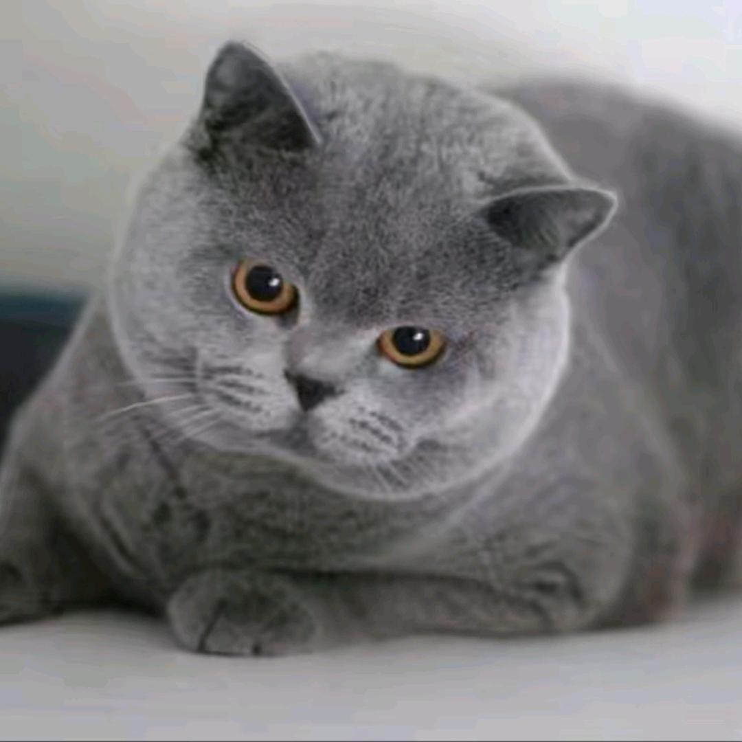 气质迷倒丈母娘