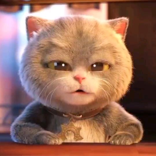 加菲猫不爱吃鱼