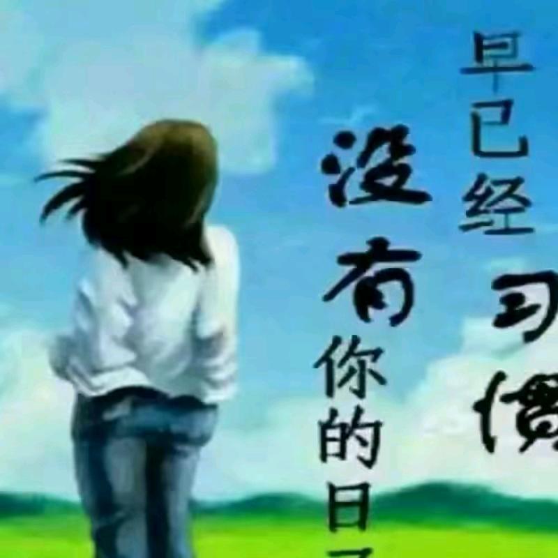 寻找爱情，本人单身