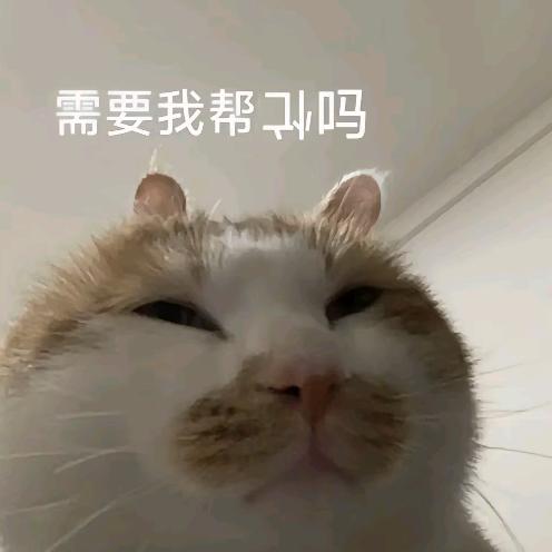 沤珠槿艳ᴿᵃʸ