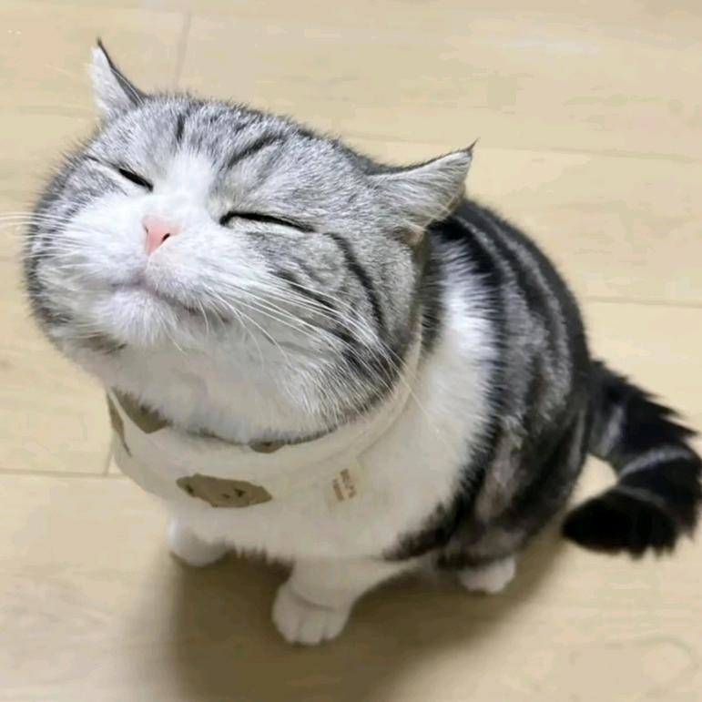 雪堡商行 雪糕批发