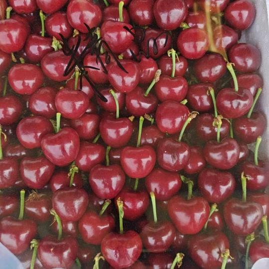 独爱香烟😎😎😎