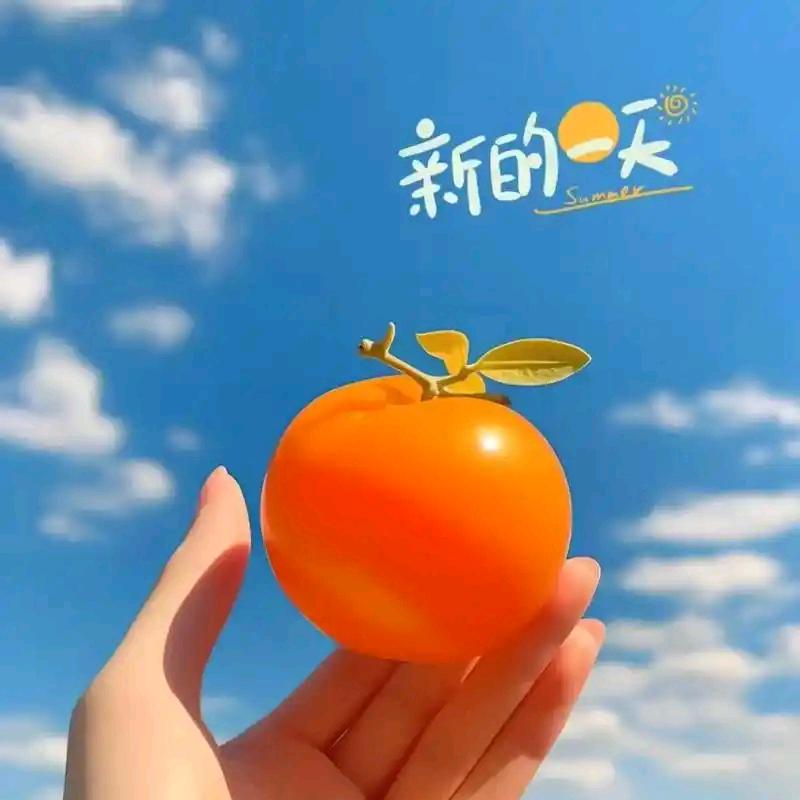 兆雅之家