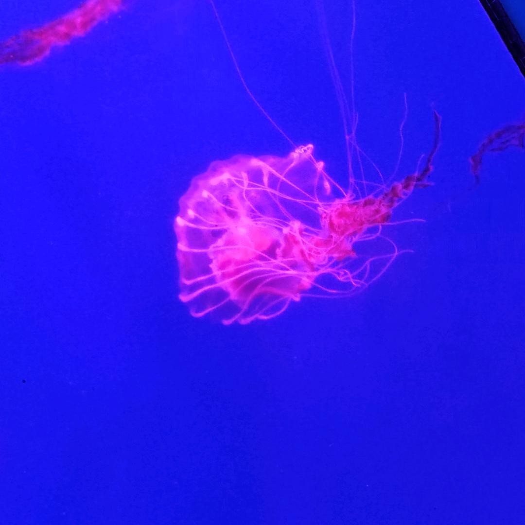 别忘了吃饭🍽️