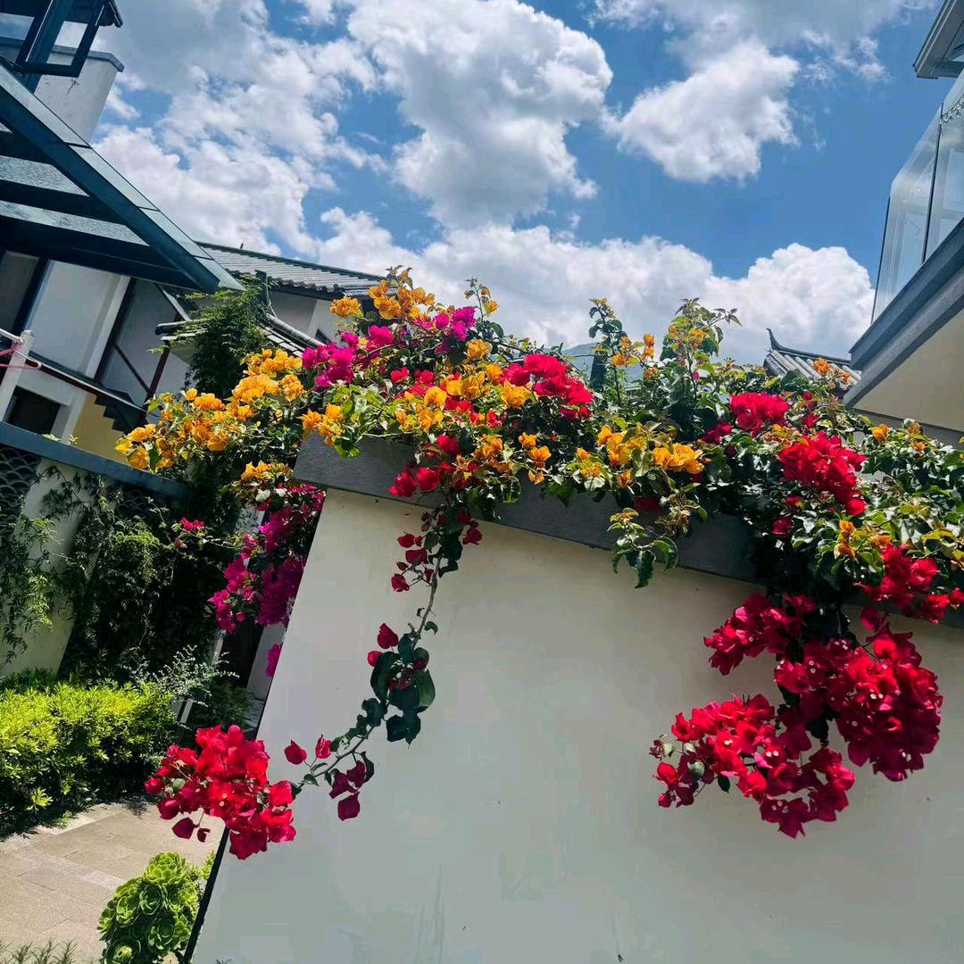 🧡ྀི💛ྀི❤️ྀི