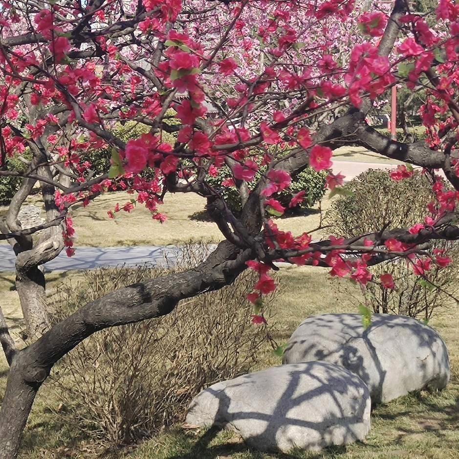 萱萱宝贝