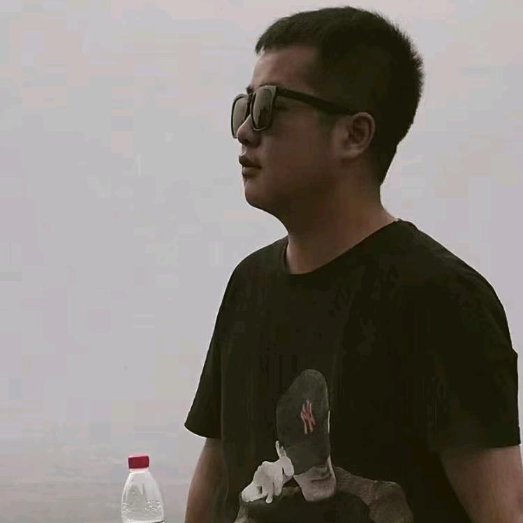 寻木
