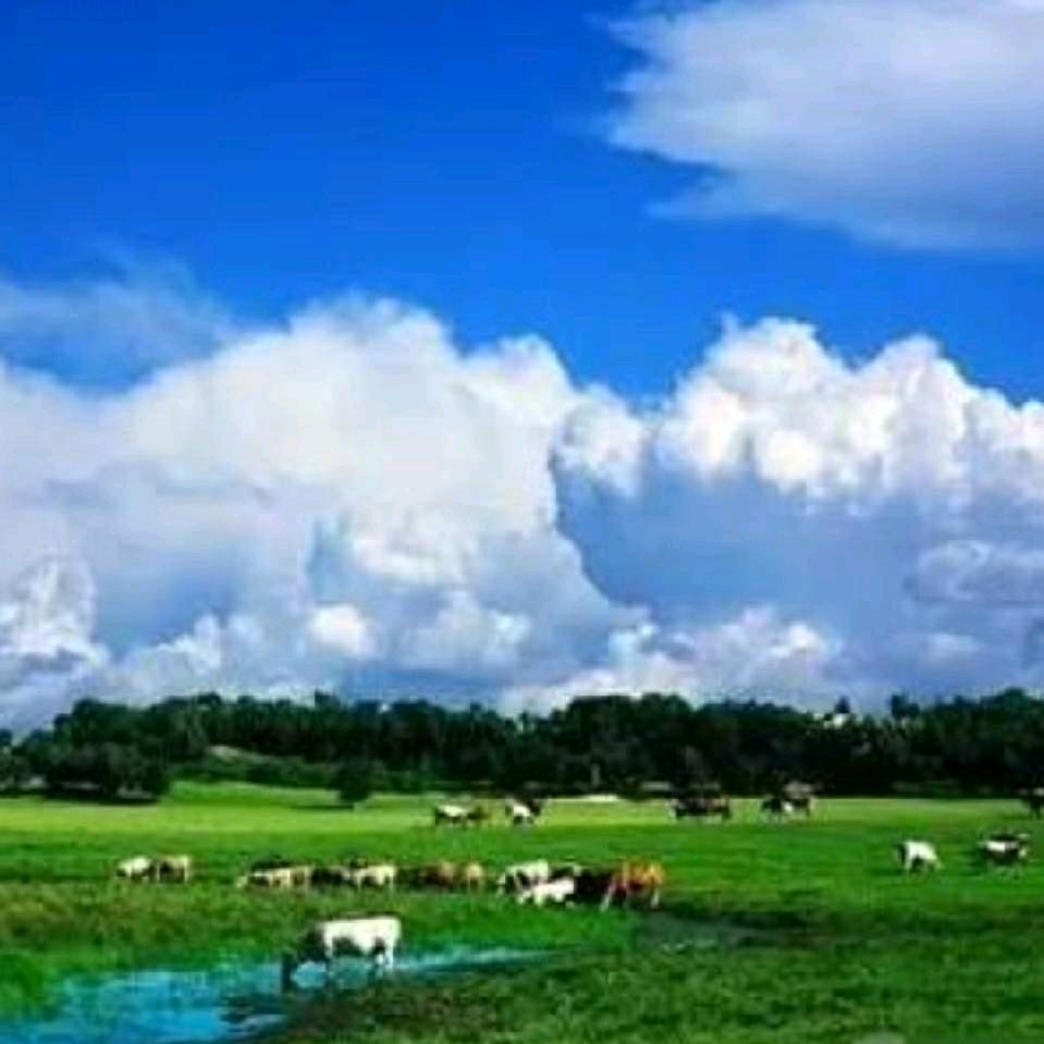 青山笑颜