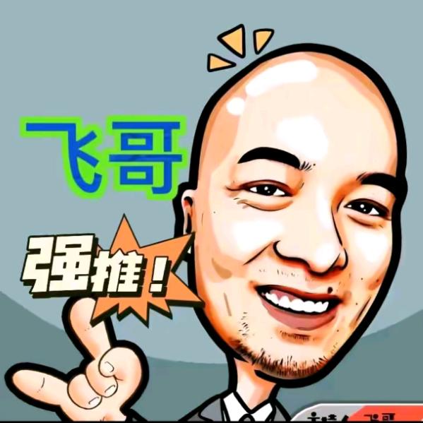飞哥爆款优品