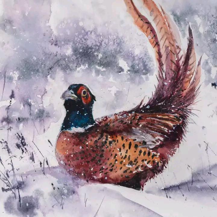 游资小鳄鱼