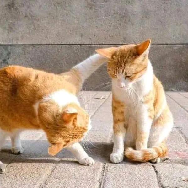 阿笑😀