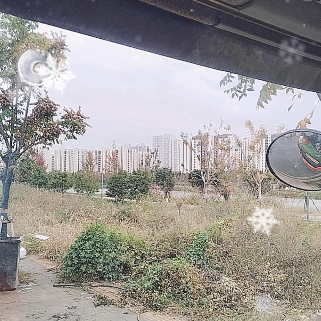 追梦，，，副驾直播！！
