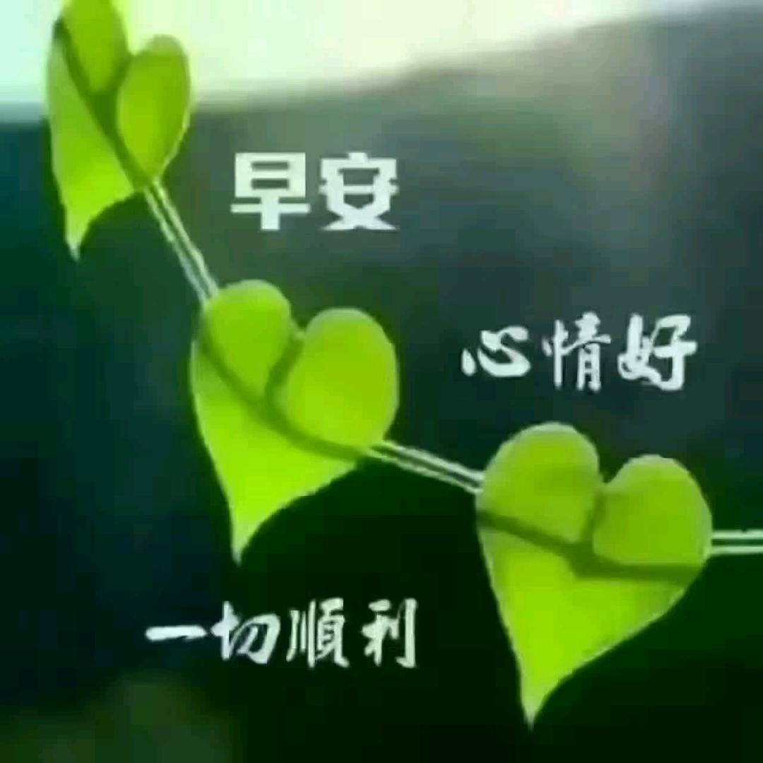 护💘👩‍❤️‍💋‍👨你周全
