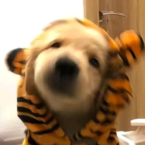 三年秋