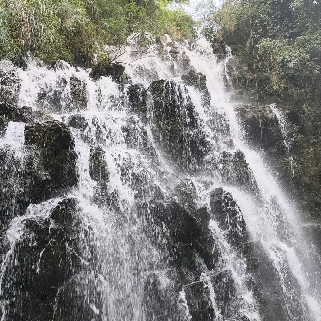 健豪羿博