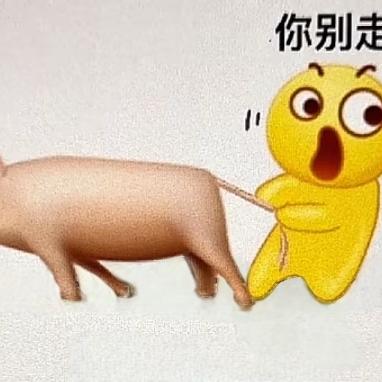 㤀☞亼