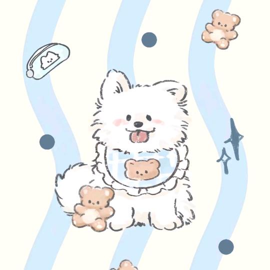 是小白