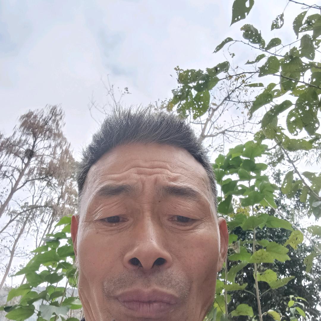 流浪人