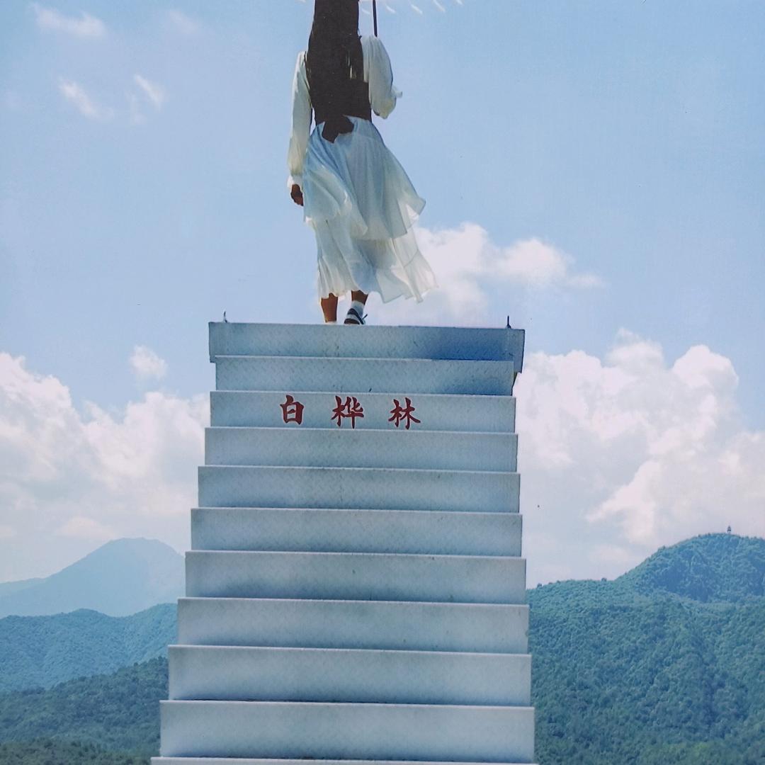爱你无悔