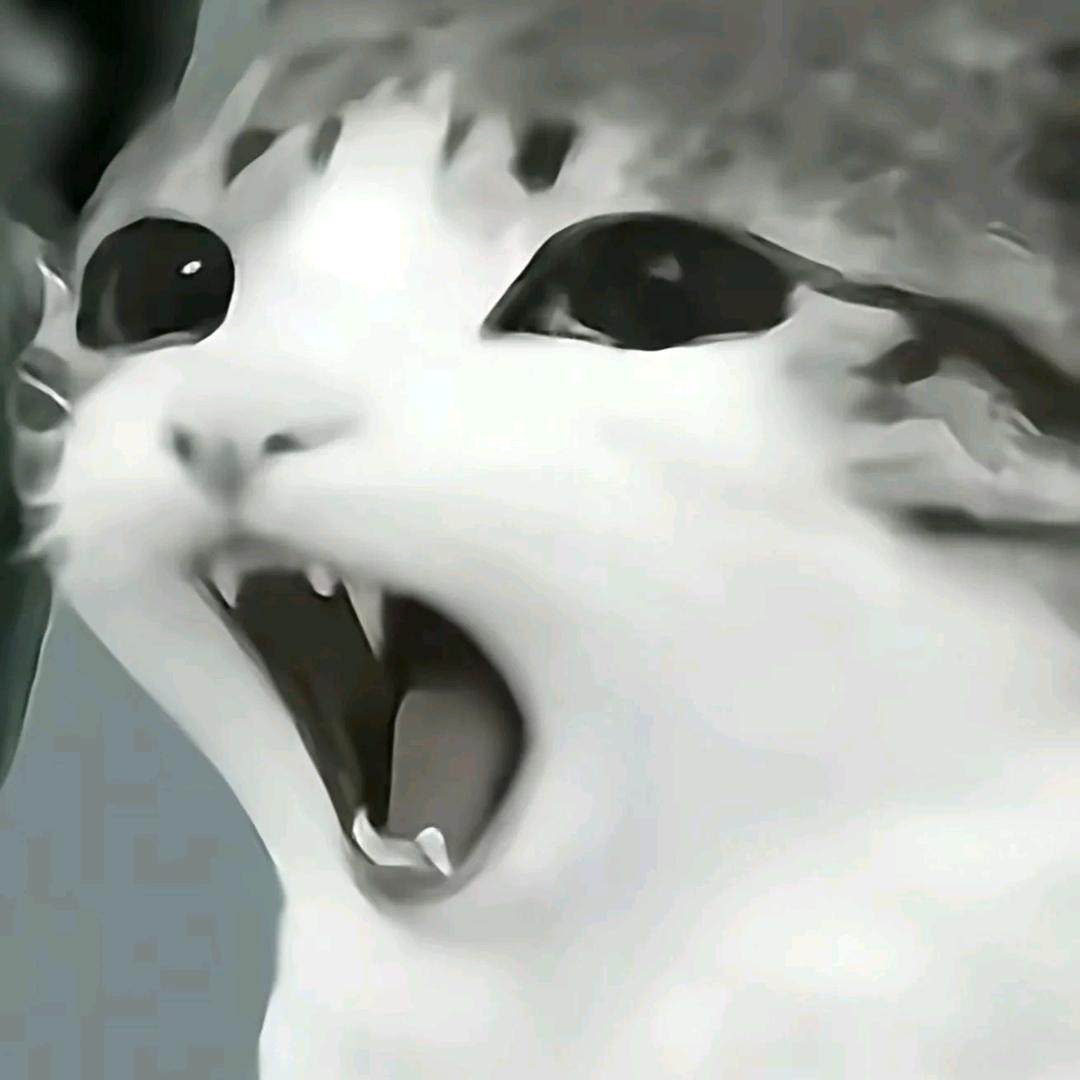 只赞丑的