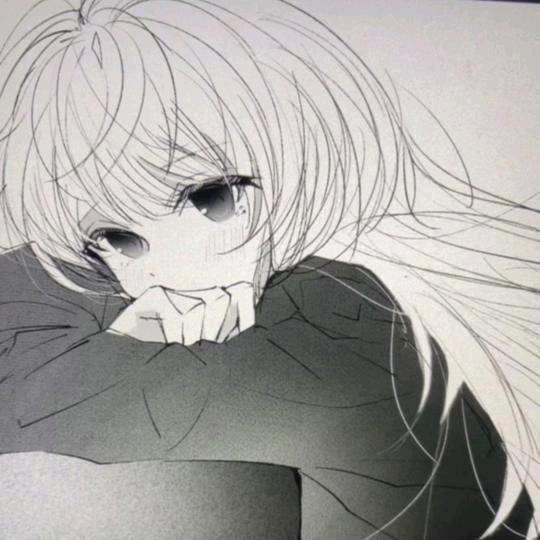 意（温科23级学姐）