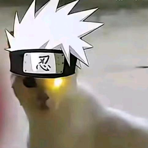 对方正在输入...