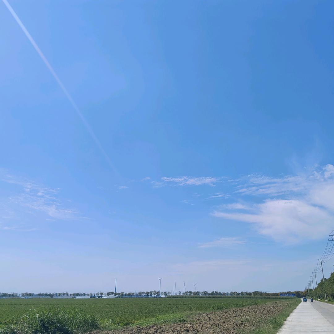 秋阳和小茉莉的妈妈