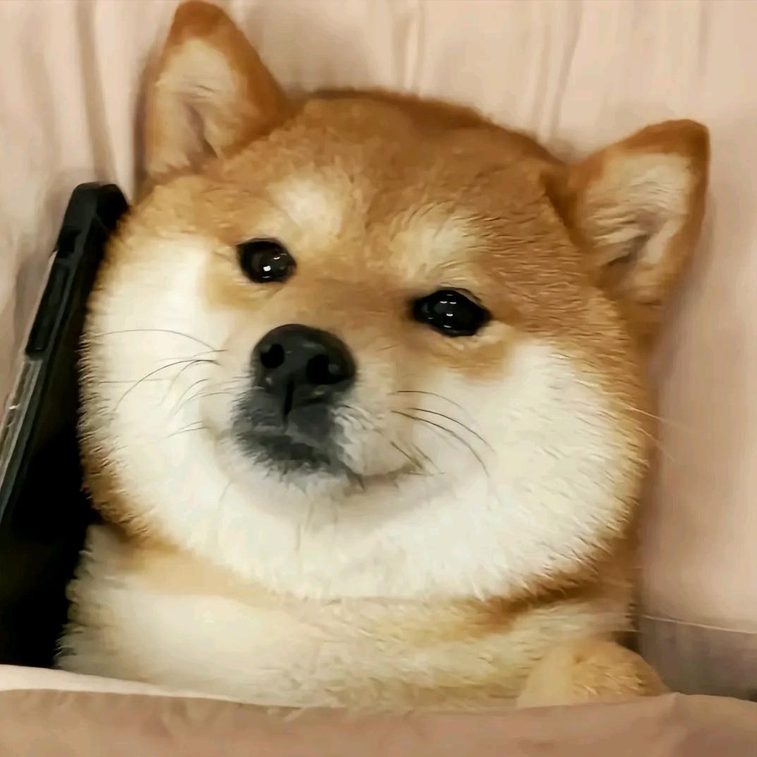 不蒸馒头不争气