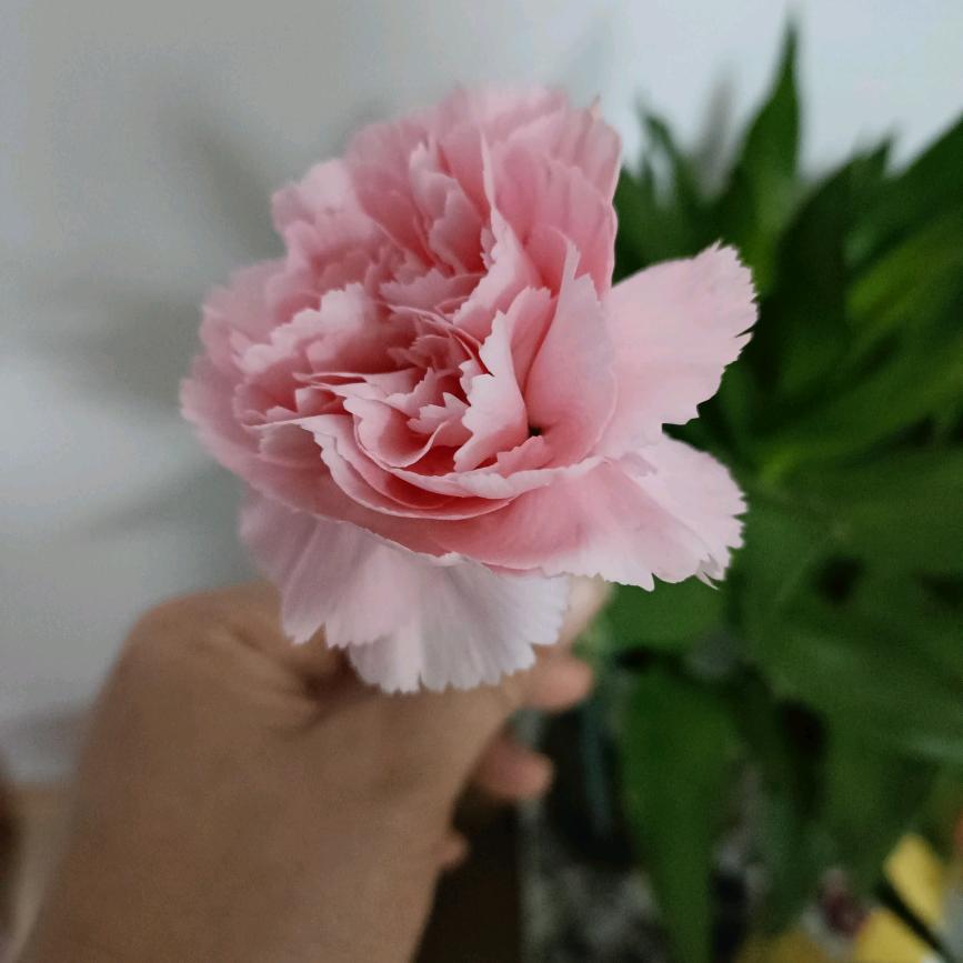 听说✞加糖很甜✧*💞