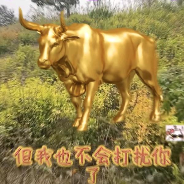 伤不起〈王）