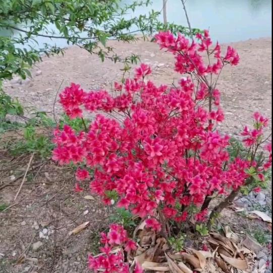 缘来缘去。