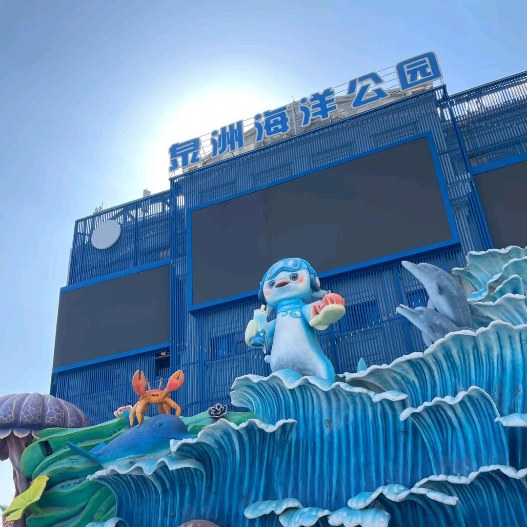 泉洲海洋公园小海豚