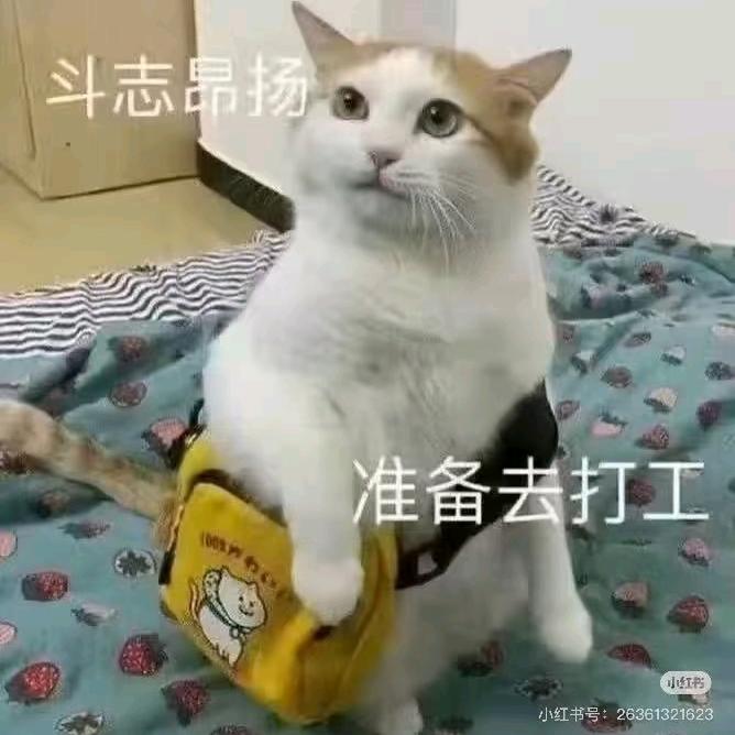 ꧁小王꧂⇔奋斗吧卍