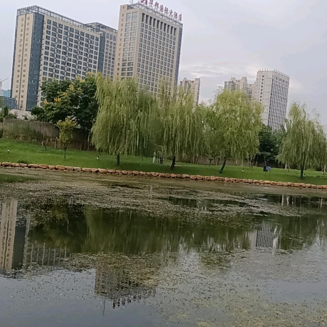 浩哥(户外运动)