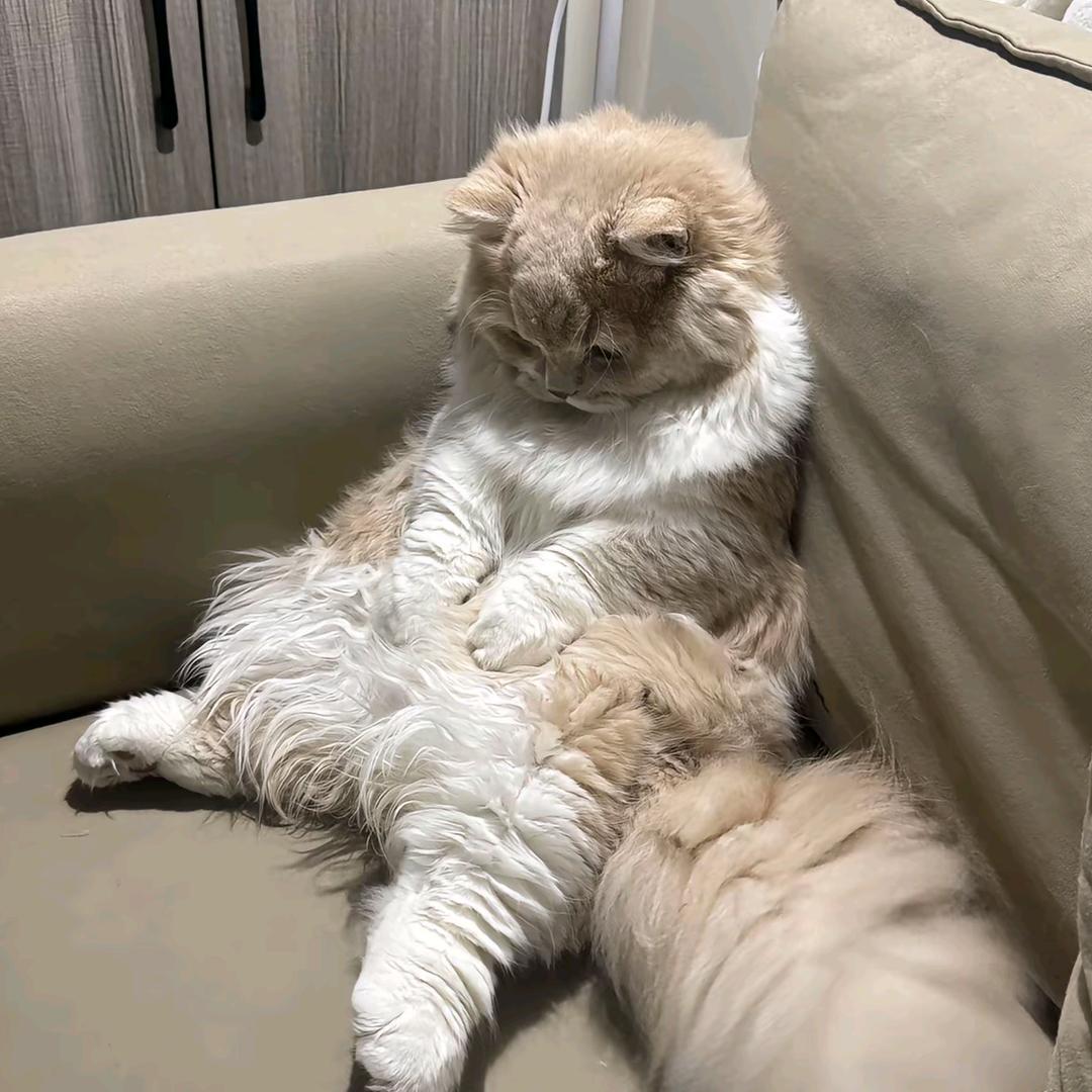 ༒