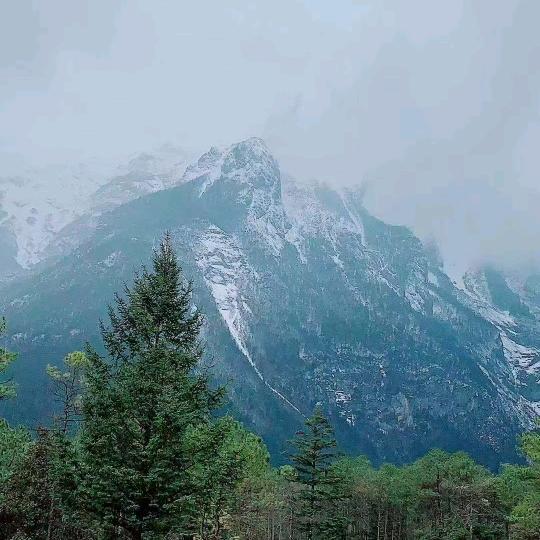 雁过薅毛