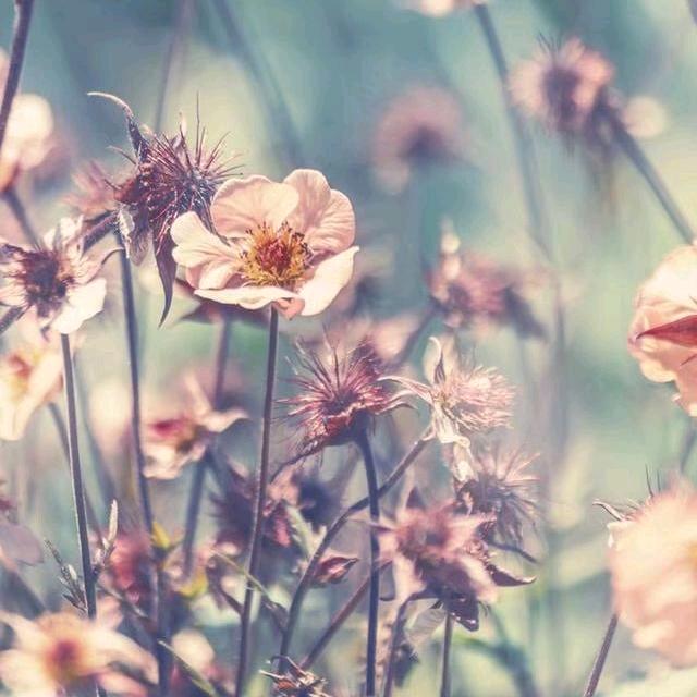 L໊ₒ吖:ᨶ႒ᩚ頭ᵥ̶ₑ̶ᩚ