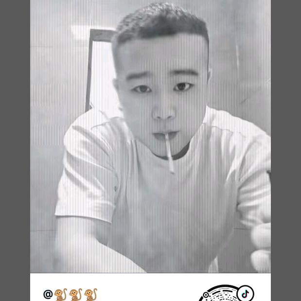 🐒🐒🐒