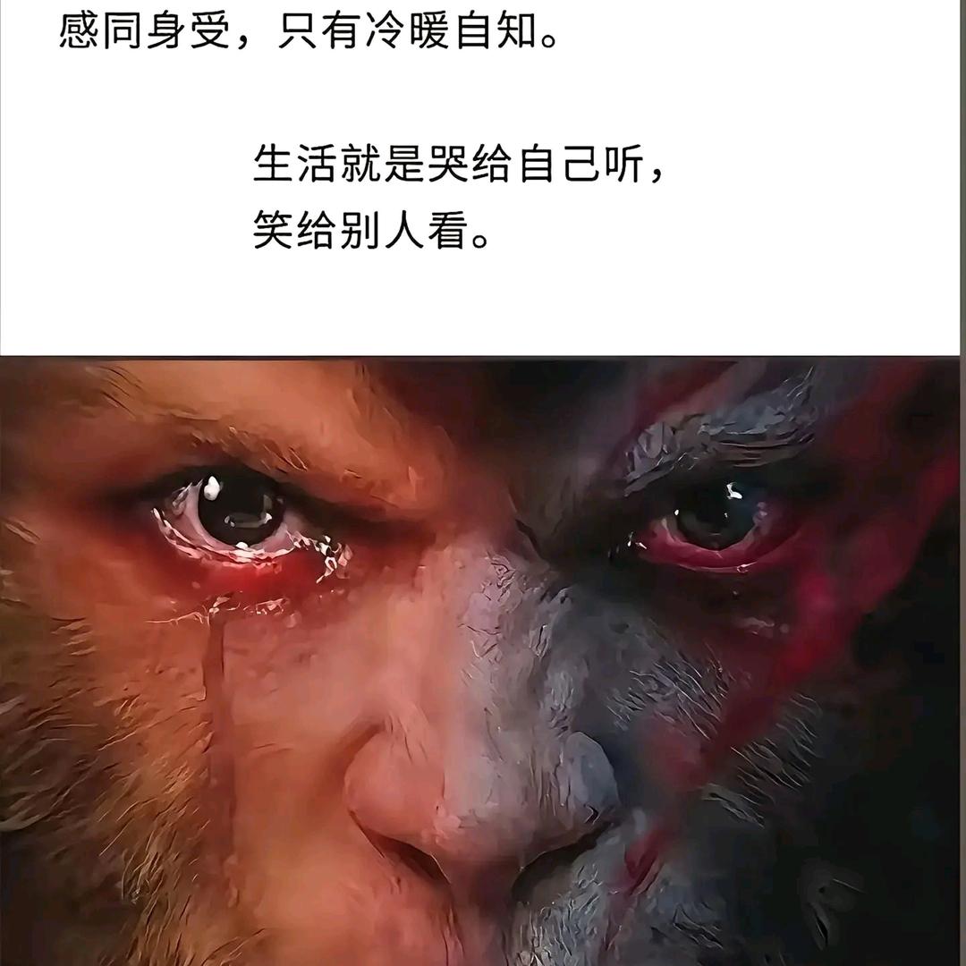徒劳一生