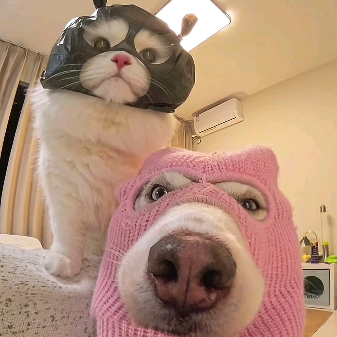 曜健康快乐吖～