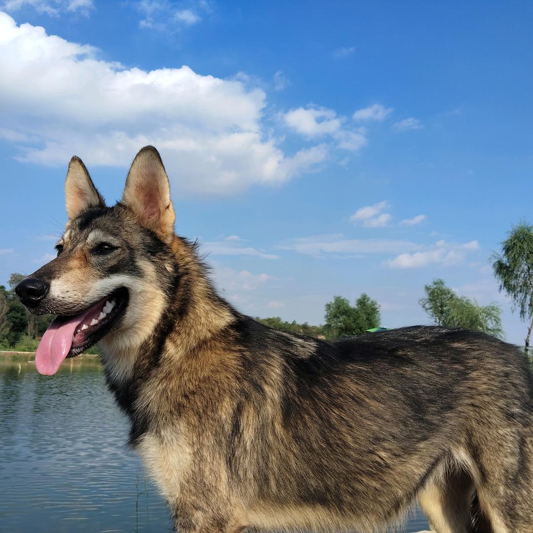 金牌   公益护农  （徒步盲山）