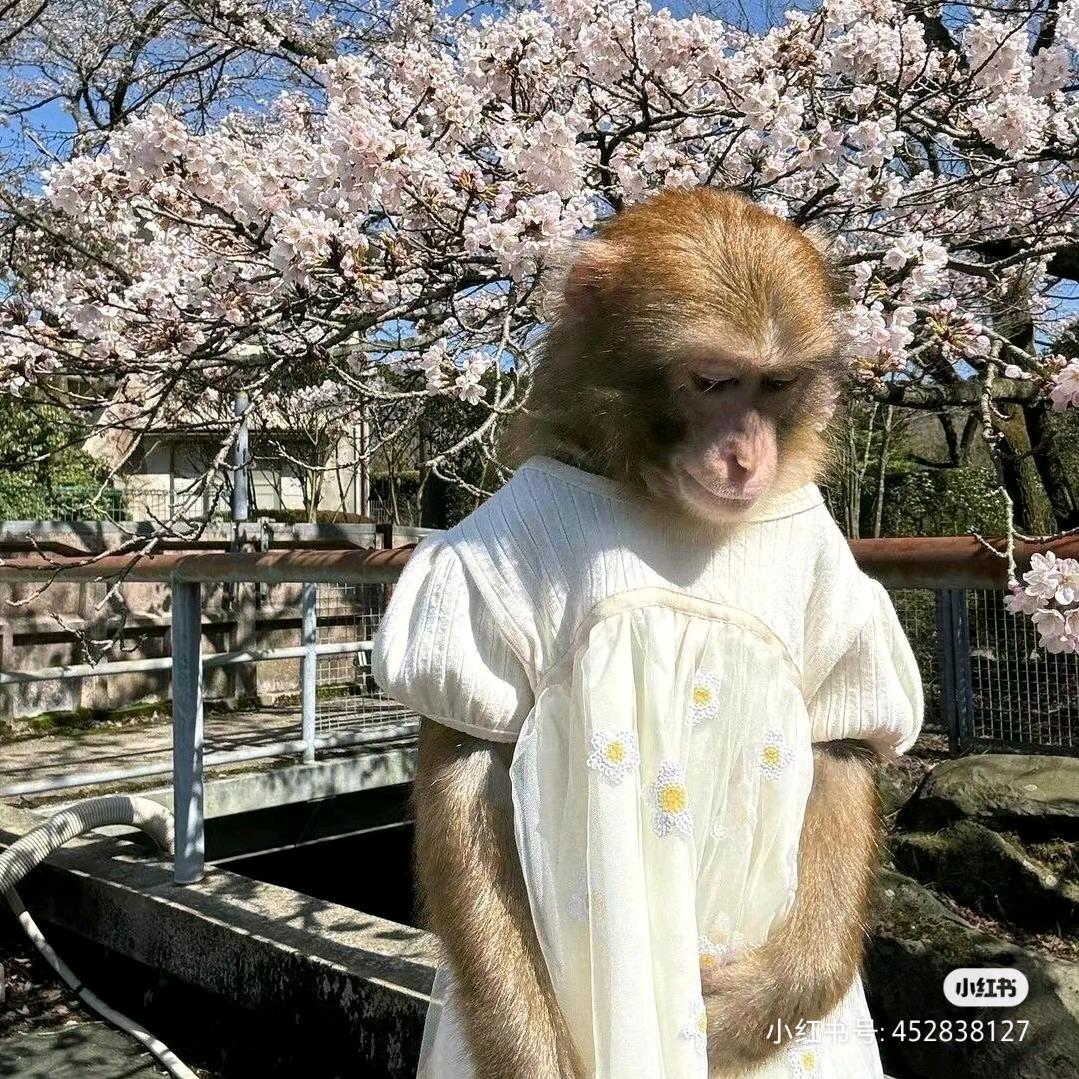 沈醉海花.