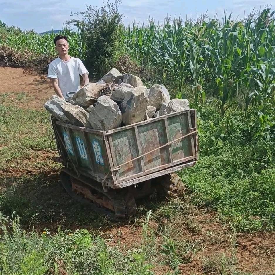 小白龙----爬山虎运输一条龙服务