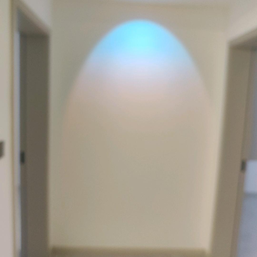 踮起脚尖接近阳光